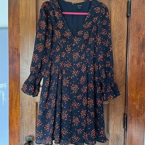 Ann Taylor dress